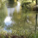 Waters Edge