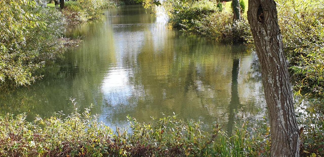 Waters Edge