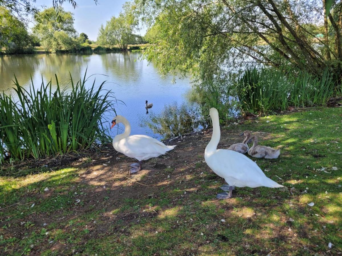 Apartment Cotswold *