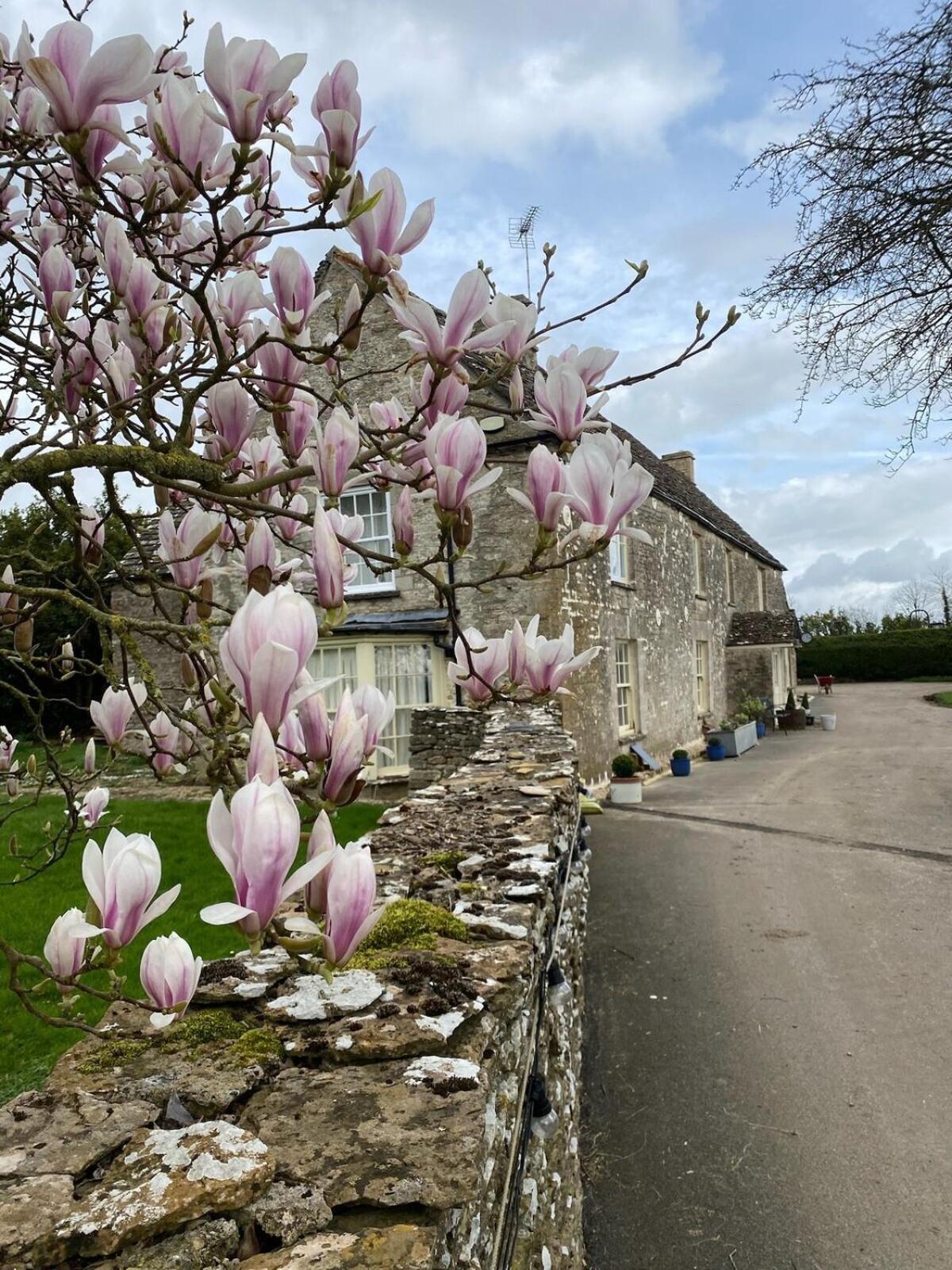 Furzen - Quiet Alternative To A Holiday home *