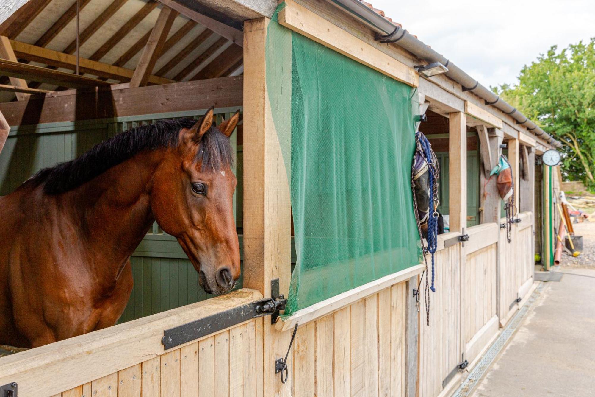 Furzen - Quiet Alternative To A Holiday home *