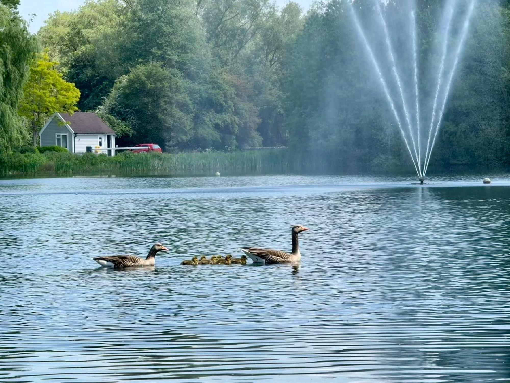 Luxury Kingfisher Lodge, Isis Lake, Within The Cotswold Waterpark